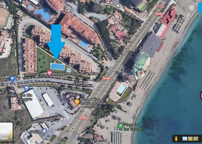 Camelias * بينالماذينا